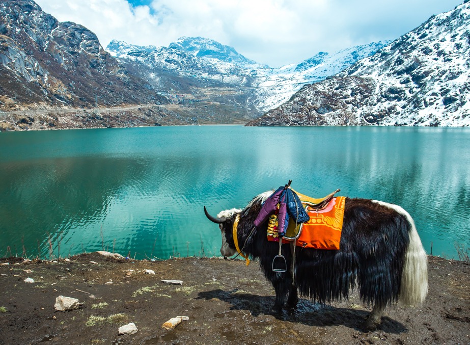 Day 02: Excursion to Nathula Pass, Tsomgo Lake & Baba Mandir